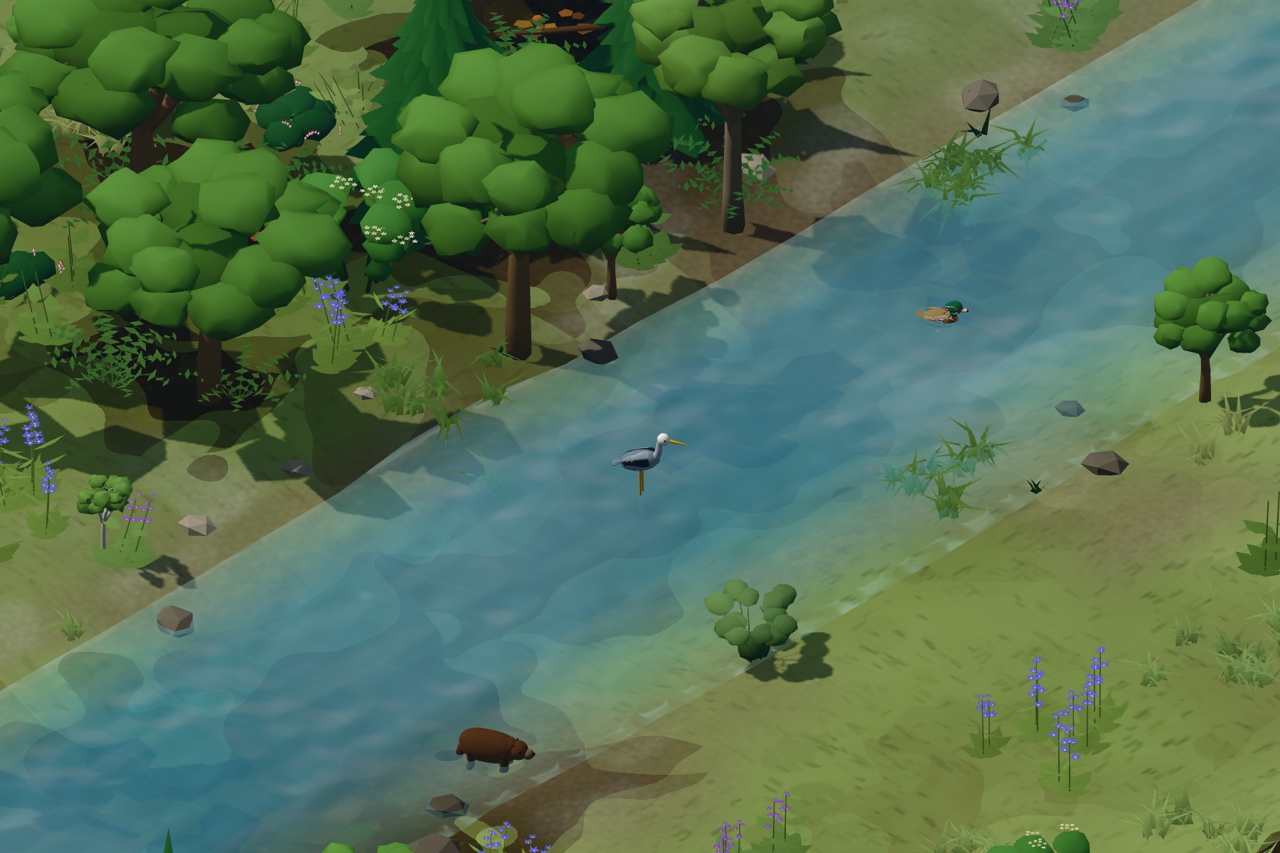Wildlife at the water’s edge