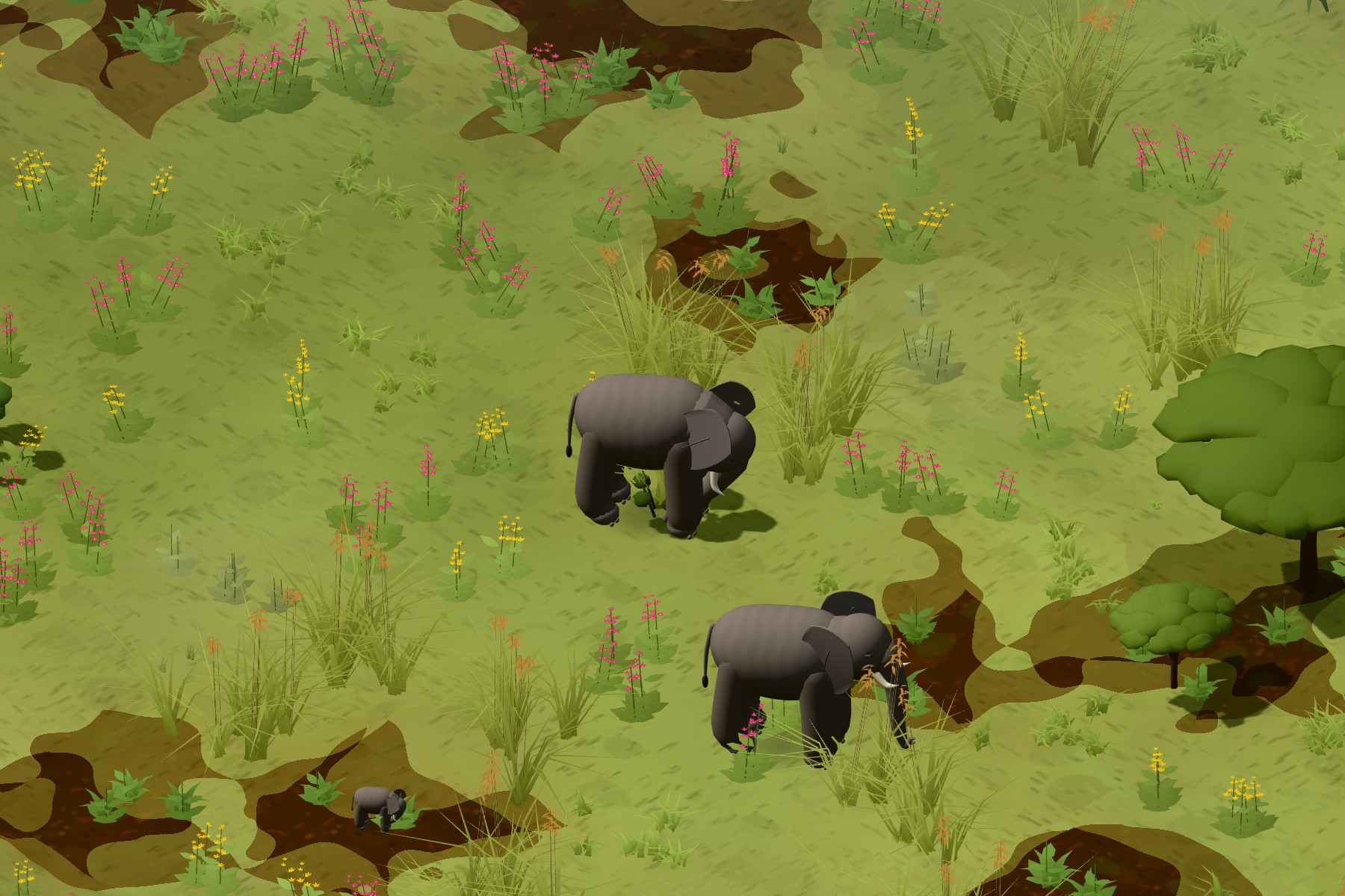 Serengeti
